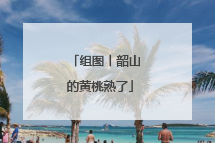 组图丨韶山的黄桃熟了