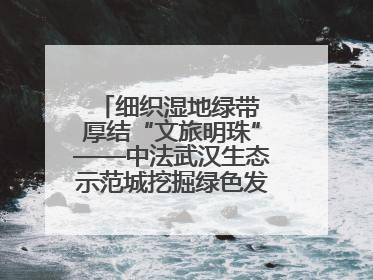 细织湿地绿带 厚结“文旅明珠”——中法武汉生态示范城挖掘绿色发展新动能