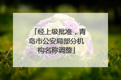 经上级批准，青岛市公安局部分机构名称调整