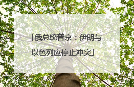 俄总统普京：伊朗与以色列应停止冲突