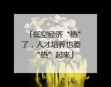 低空经济“热”了，人才培养也要“热”起来