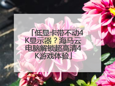 低显卡带不动4K显示器？海马云电脑解锁超高清4K游戏体验