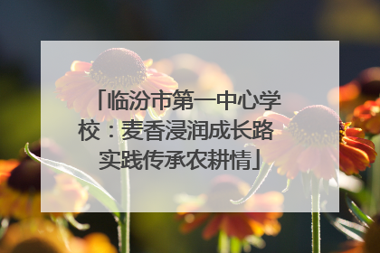 临汾市第一中心学校：麦香浸润成长路 实践传承农耕情