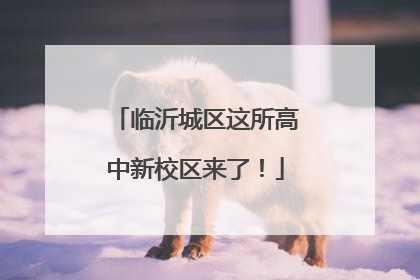 临沂城区这所高中新校区来了！