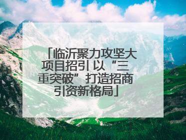 临沂聚力攻坚大项目招引 以“三重突破”打造招商引资新格局