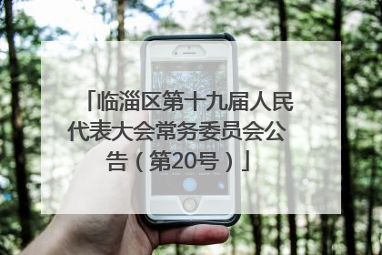 临淄区第十九届人民代表大会常务委员会公告（第20号）