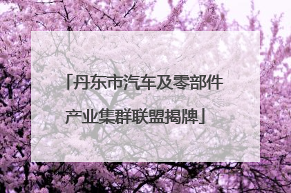 丹东市汽车及零部件产业集群联盟揭牌