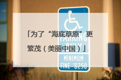 为了“海底草原”更繁茂（美丽中国）