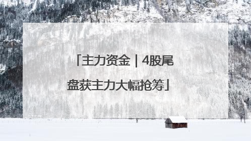 主力资金｜4股尾盘获主力大幅抢筹