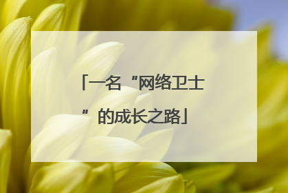 一名“网络卫士”的成长之路
