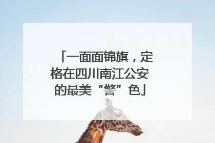 一面面锦旗，定格在四川南江公安的最美“警”色