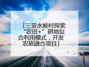 三亚水蛟村探索“农田+”耕地复合利用模式，开发农旅融合项目