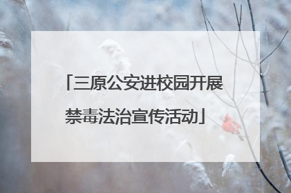 三原公安进校园开展禁毒法治宣传活动