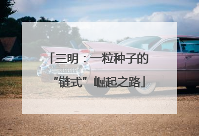 三明：一粒种子的“链式”崛起之路