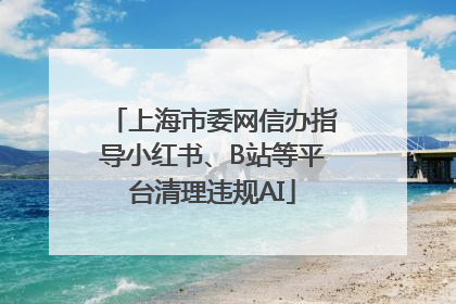 上海市委网信办指导小红书、B站等平台清理违规AI