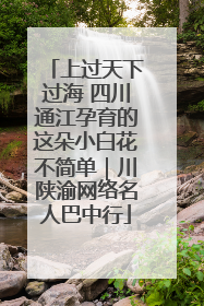 上过天下过海 四川通江孕育的这朵小白花不简单｜川陕渝网络名人巴中行