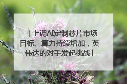上调AI定制芯片市场目标、算力持续增加，英伟达的对手发起挑战