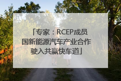 专家：RCEP成员国新能源汽车产业合作驶入共赢快车道