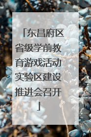东昌府区省级学前教育游戏活动实验区建设推进会召开