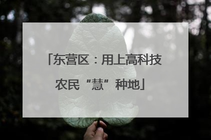 东营区：用上高科技 农民“慧”种地