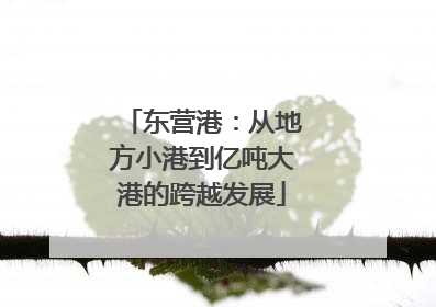 东营港：从地方小港到亿吨大港的跨越发展