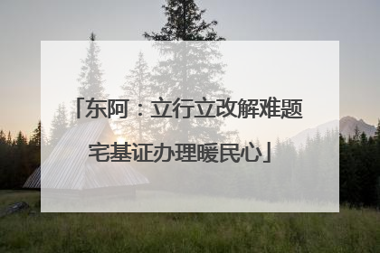 东阿：立行立改解难题 宅基证办理暖民心