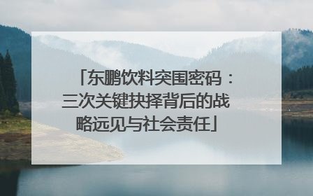 东鹏饮料突围密码：三次关键抉择背后的战略远见与社会责任
