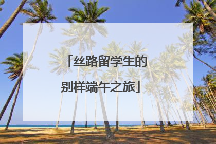 丝路留学生的别样端午之旅