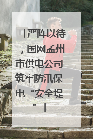 严阵以待，国网孟州市供电公司筑牢防汛保电“安全堤”