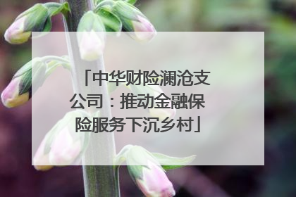 中华财险澜沧支公司：推动金融保险服务下沉乡村