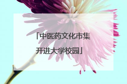 中医药文化市集开进大学校园