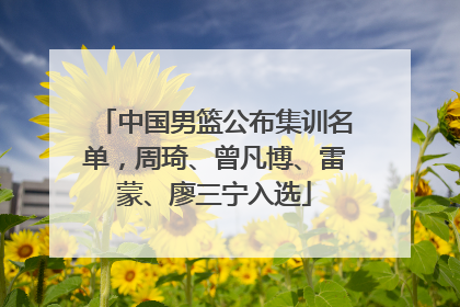 中国男篮公布集训名单，周琦、曾凡博、雷蒙、廖三宁入选