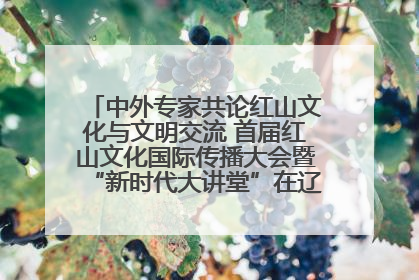中外专家共论红山文化与文明交流 首届红山文化国际传播大会暨“新时代大讲堂”在辽宁朝阳举办