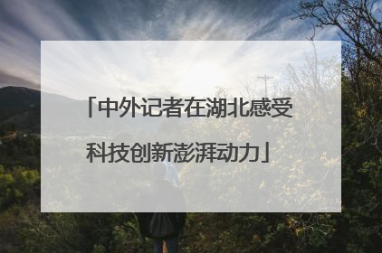 中外记者在湖北感受科技创新澎湃动力