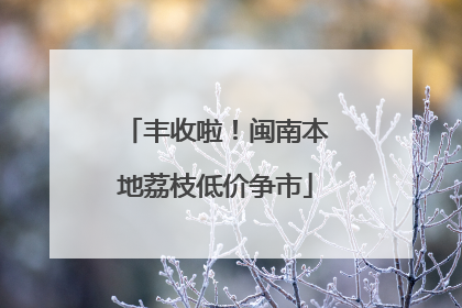 丰收啦！闽南本地荔枝低价争市