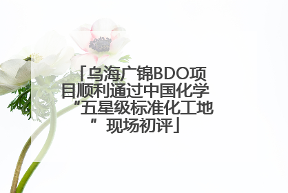乌海广锦BDO项目顺利通过中国化学“五星级标准化工地”现场初评