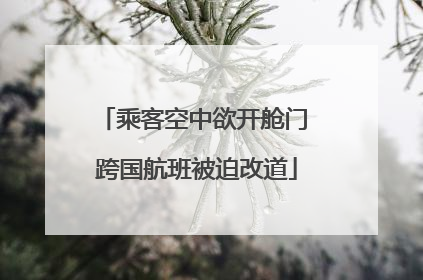 乘客空中欲开舱门 跨国航班被迫改道