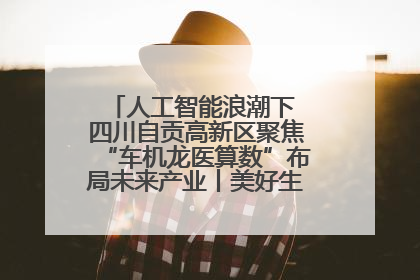 人工智能浪潮下 四川自贡高新区聚焦“车机龙医算数”布局未来产业丨美好生活有“盐”味