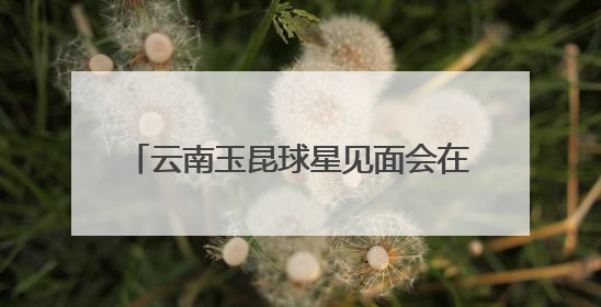 云南玉昆球星见面会在昆明南屏步行街举行