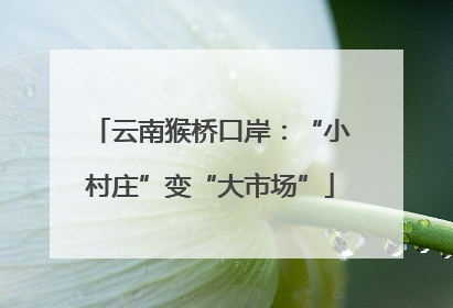 云南猴桥口岸：“小村庄”变“大市场”