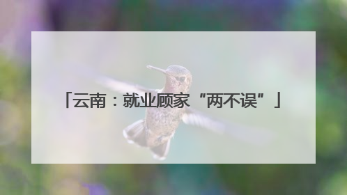云南：就业顾家“两不误”
