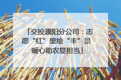 交投濮阳分公司：志愿“红”里绘“丰”景 暖心助农显担当
