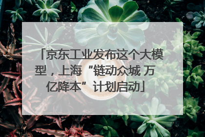 京东工业发布这个大模型，上海“链动众城 万亿降本”计划启动