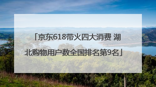 京东618带火四大消费 湖北购物用户数全国排名第9名