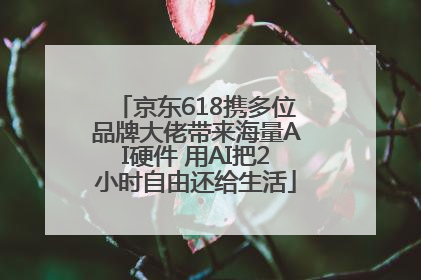京东618携多位品牌大佬带来海量AI硬件 用AI把2小时自由还给生活