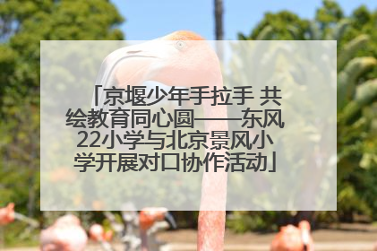 京堰少年手拉手 共绘教育同心圆——东风22小学与北京景风小学开展对口协作活动