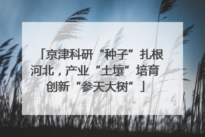 京津科研“种子”扎根河北，产业“土壤”培育创新“参天大树”