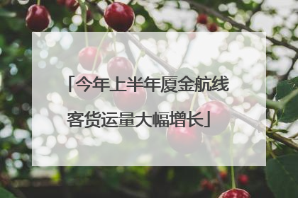 今年上半年厦金航线客货运量大幅增长