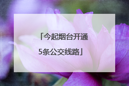 今起烟台开通5条公交线路