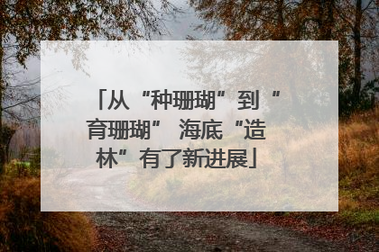 从“种珊瑚”到“育珊瑚” 海底“造林”有了新进展